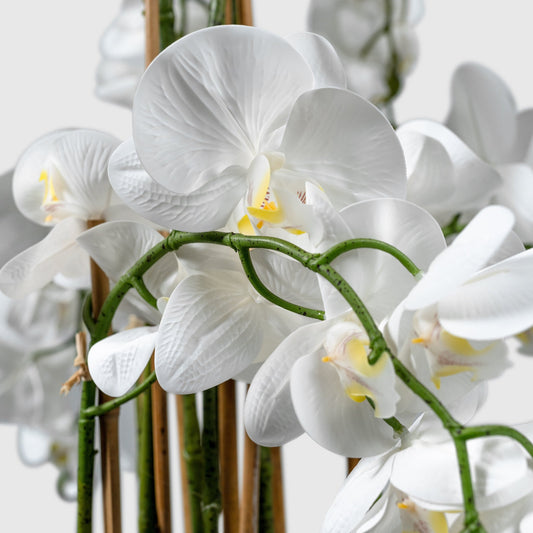 Orchidee - Künstliche Pflanzen wie echt