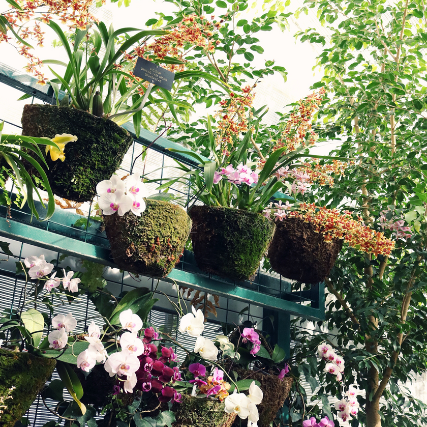 Plantes artificielles résistantes aux intempéries : les meilleures plantes artificielles de balcon pour chaque saison