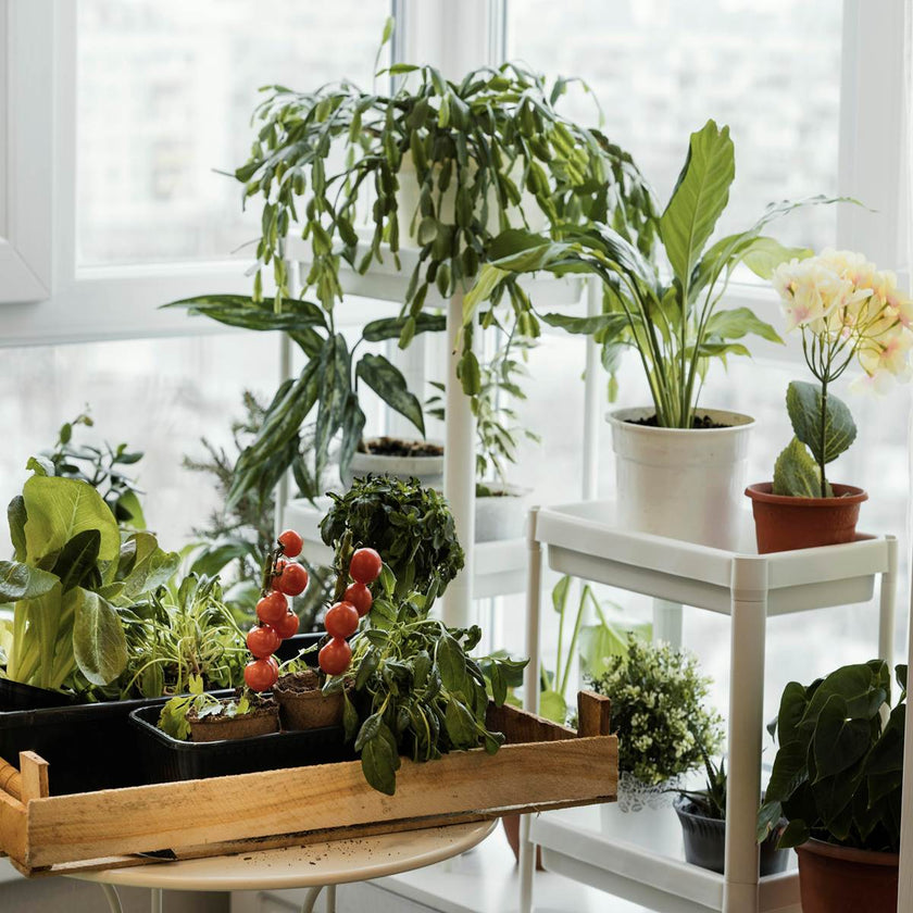 Plantes artificielles pour le rebord de la fenêtre : Les plus belles fleurs et plantes artificielles pour la décoration