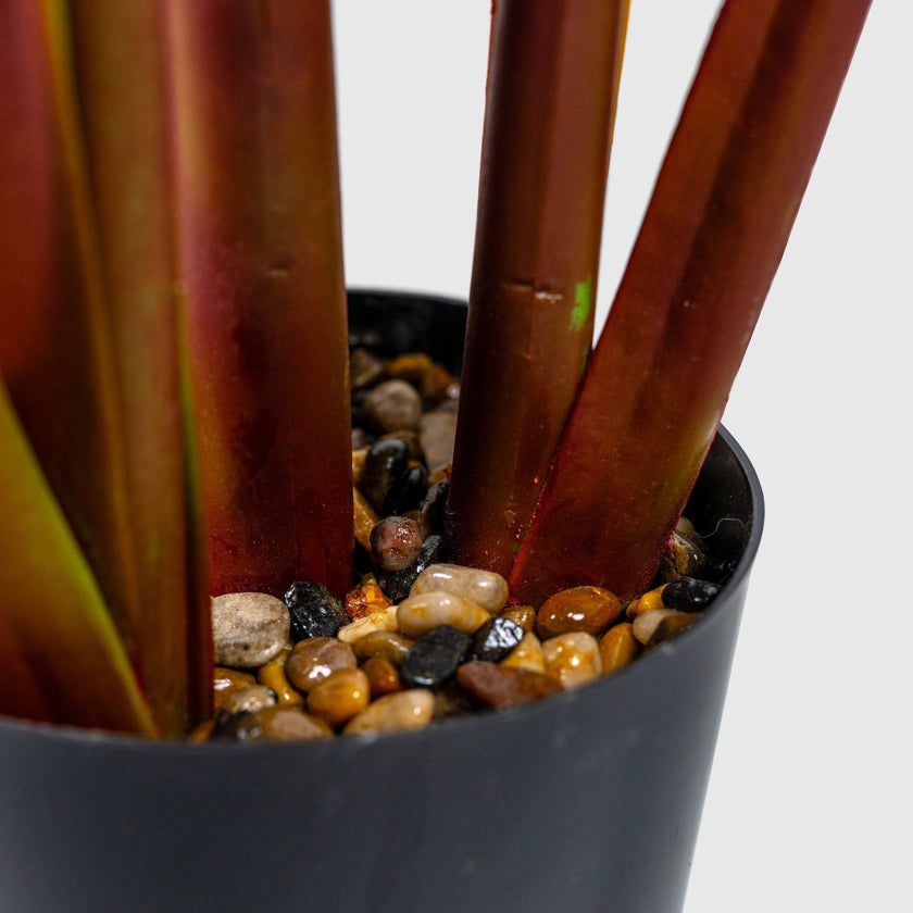 Décorer un grand vase : des idées élégantes pour une décoration créative