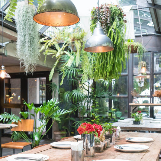 Restaurant Dekoration, Pflanzen Restaurant - VASANTA