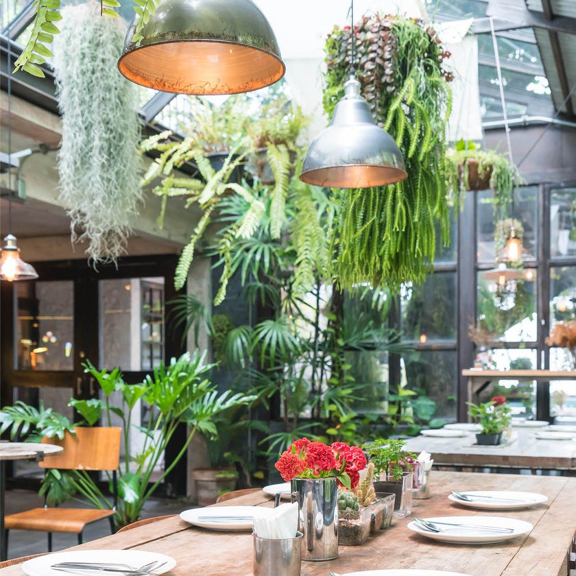 Décoration pour la restauration : Décoration de table gastronomique élégante avec des plantes artificielles