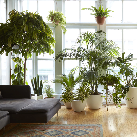 Plantes artificielles pour balcons : les meilleures plantes artificielles pour chaque style