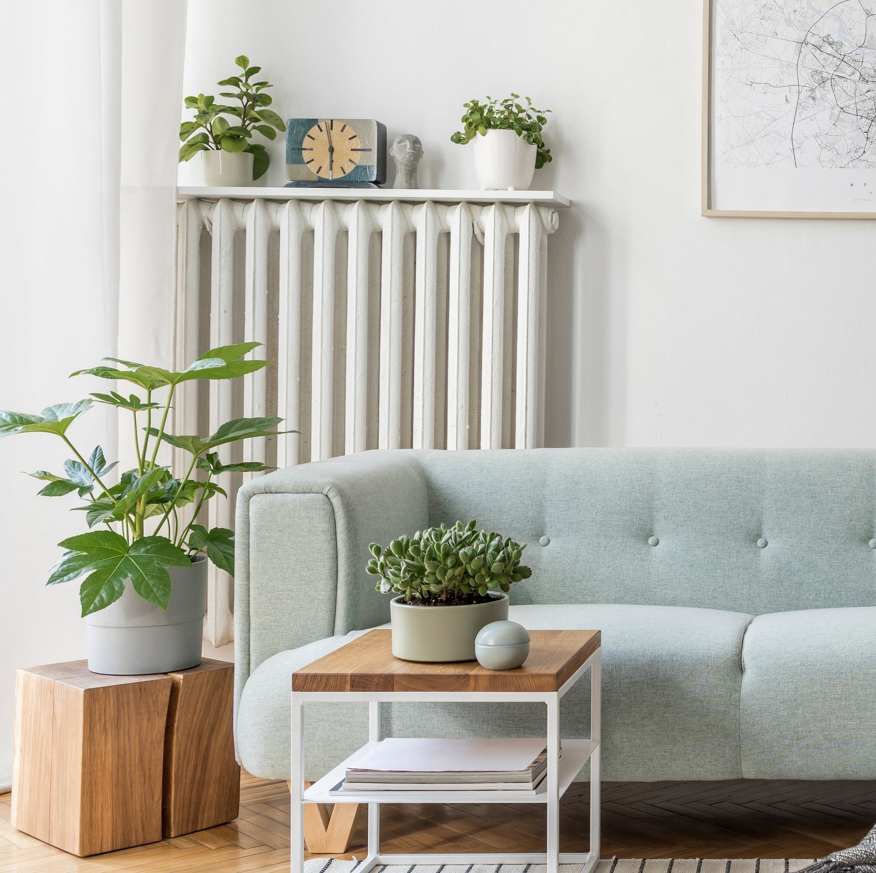 Kunstpflanzen im Wohnzimmer