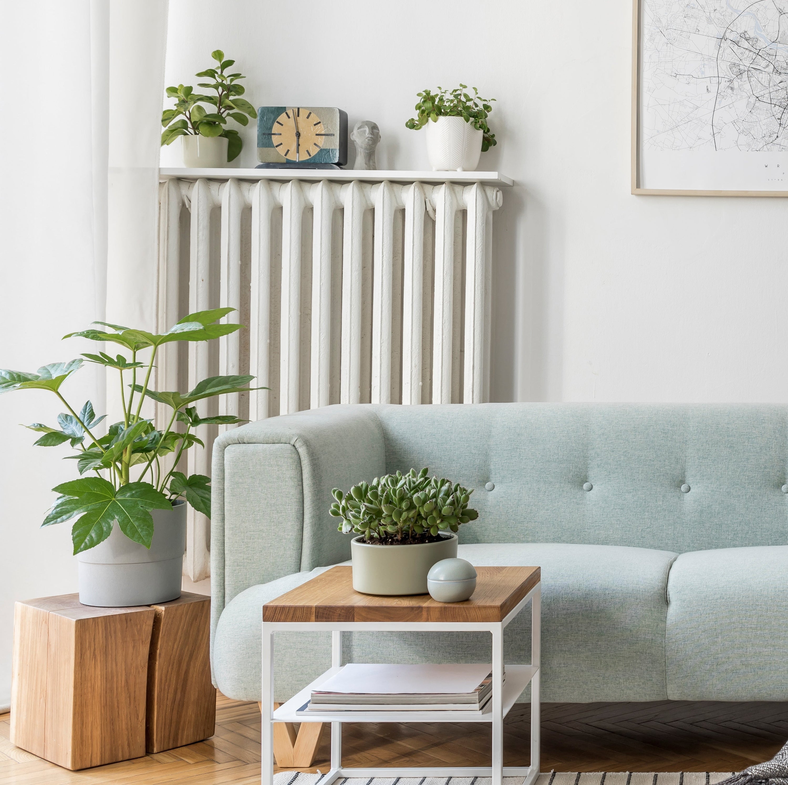 Kunstpflanzen im Wohnzimmer