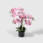 Orchidee Kunstpflanze ( Blumen )- BF 211 20 23 p