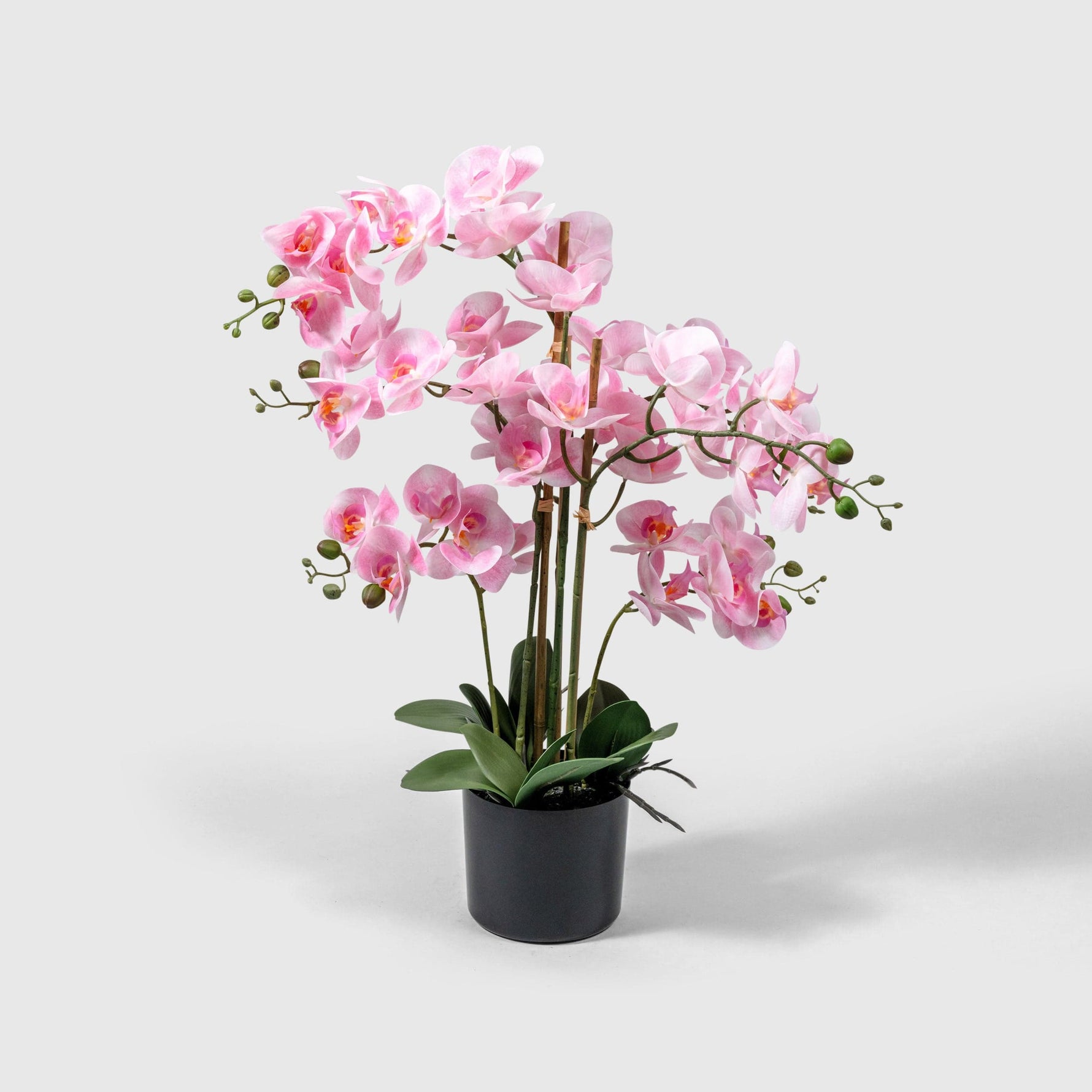 Orchidee Kunstpflanze ( Blumen )- BF 211 20 23 p