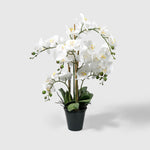 Orchidee Kunstpflanze ( Blumen )- BF 211 20 23