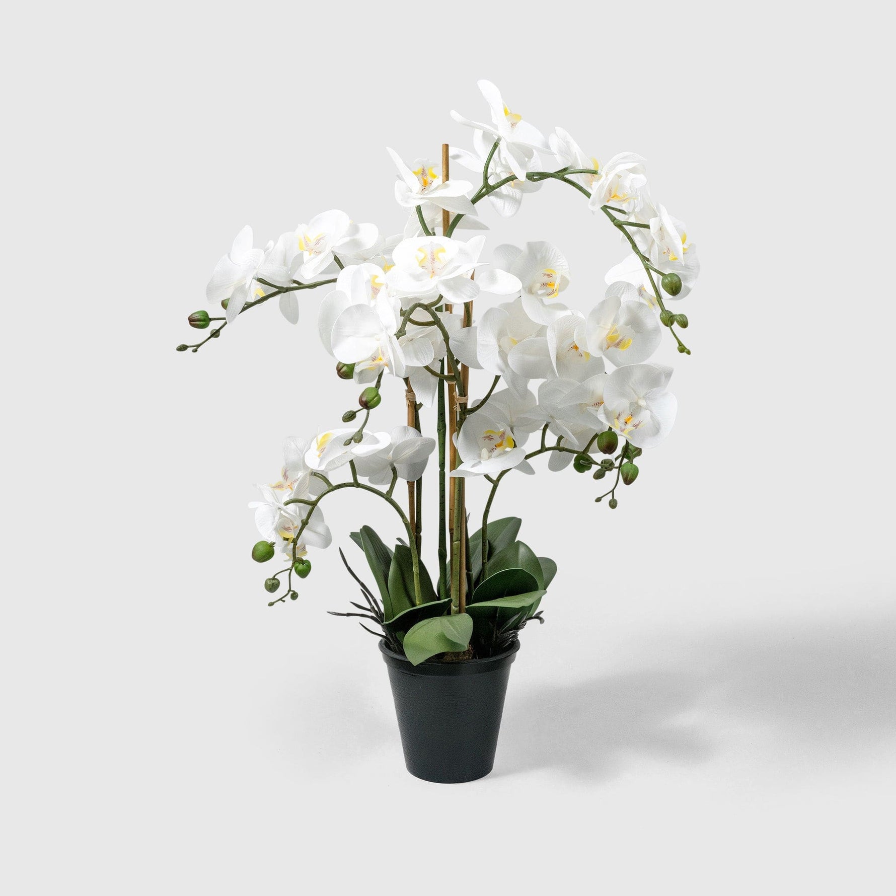 Orchidee Kunstpflanze ( Blumen )- BF 211 20 23