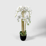 Orchidee Kunstpflanze ( Blumen )- BF 211 20 34