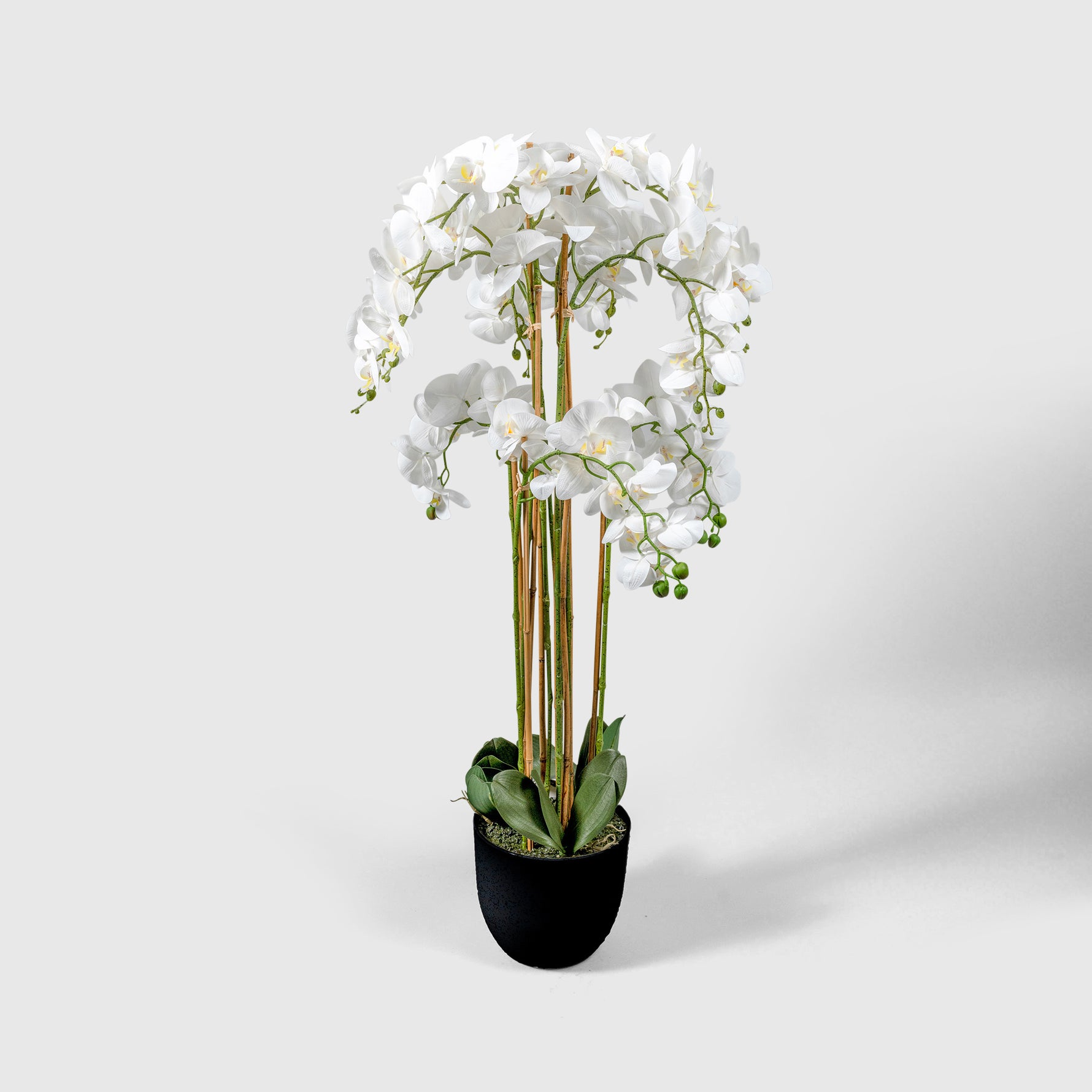 Orchidee Kunstpflanze ( Blumen )- BF 211 20 34