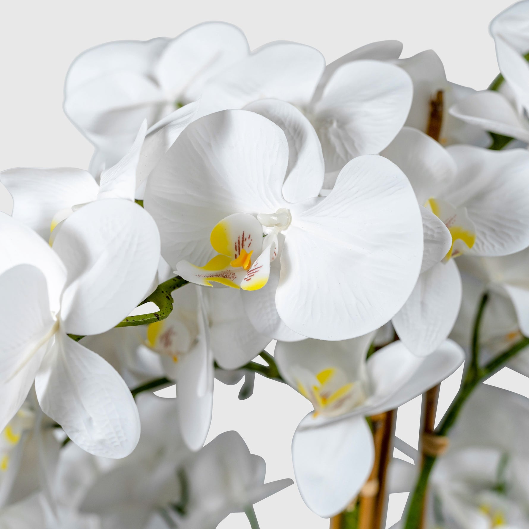 Orchidee Kunstpflanze ( Blumen )- BF 211 20 23 p