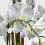Orchidee Kunstpflanze ( Blumen )- BF 211 20 23 p