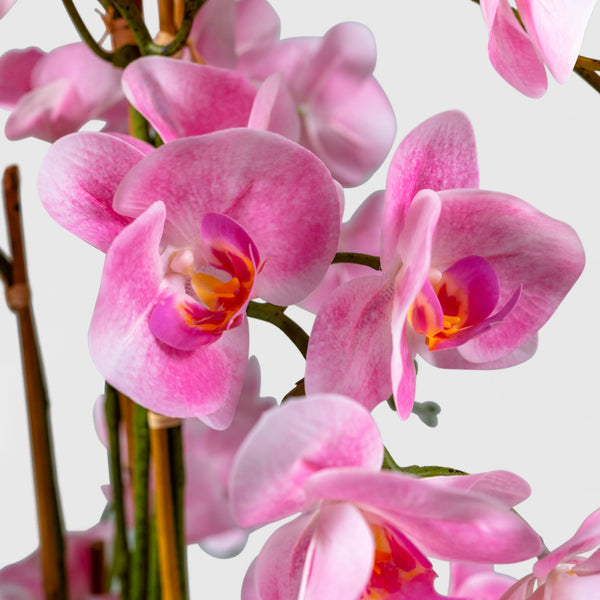 Orchidee Kunstpflanze ( Blumen )- BF 211 20 23 p