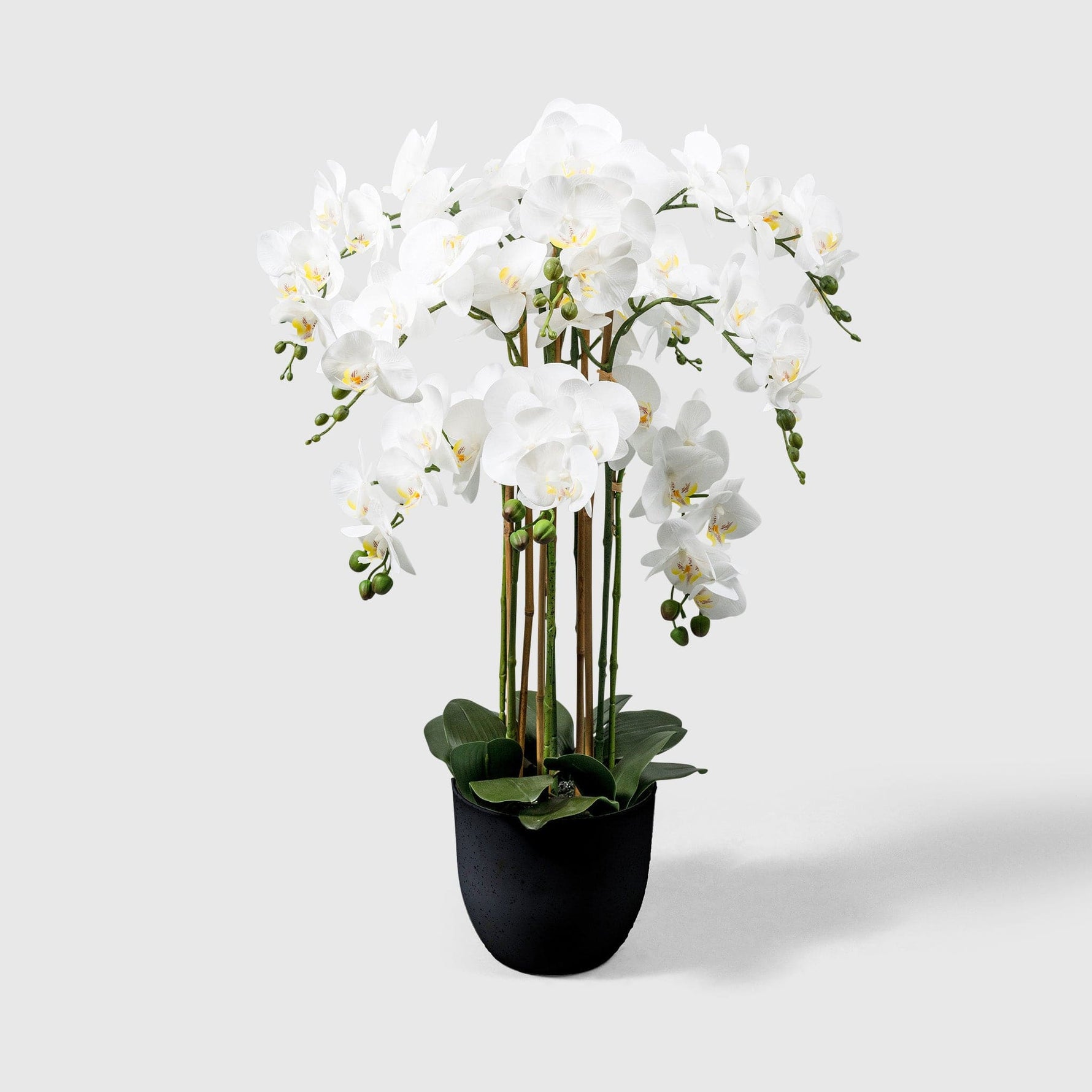Orchidee Kunstpflanze ( Blumen )- BF 241 20 02
