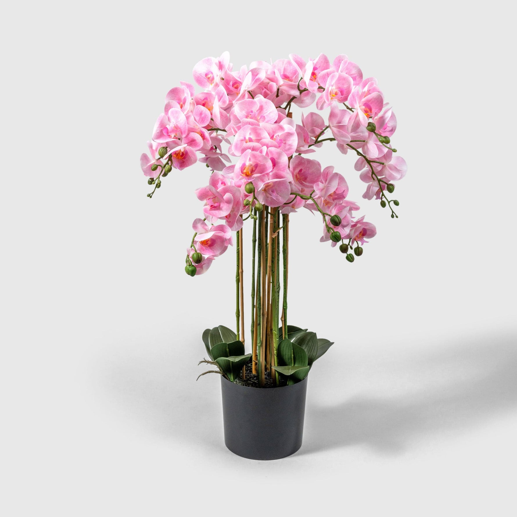 Orchidee Kunstpflanze ( Blumen )- BF 241 20 02 p