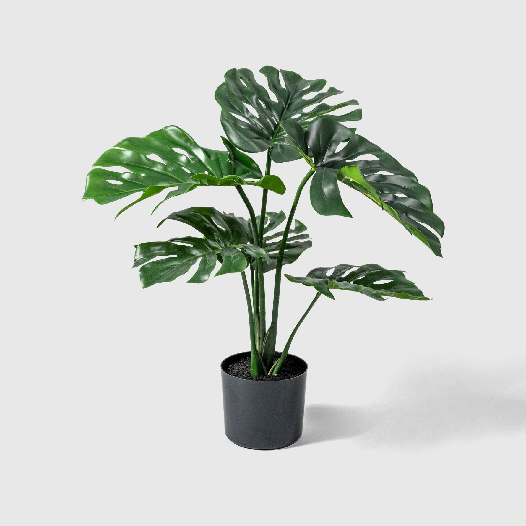 Monstera Kunstpflanze ( Pflanze )- KC 035-65 A
