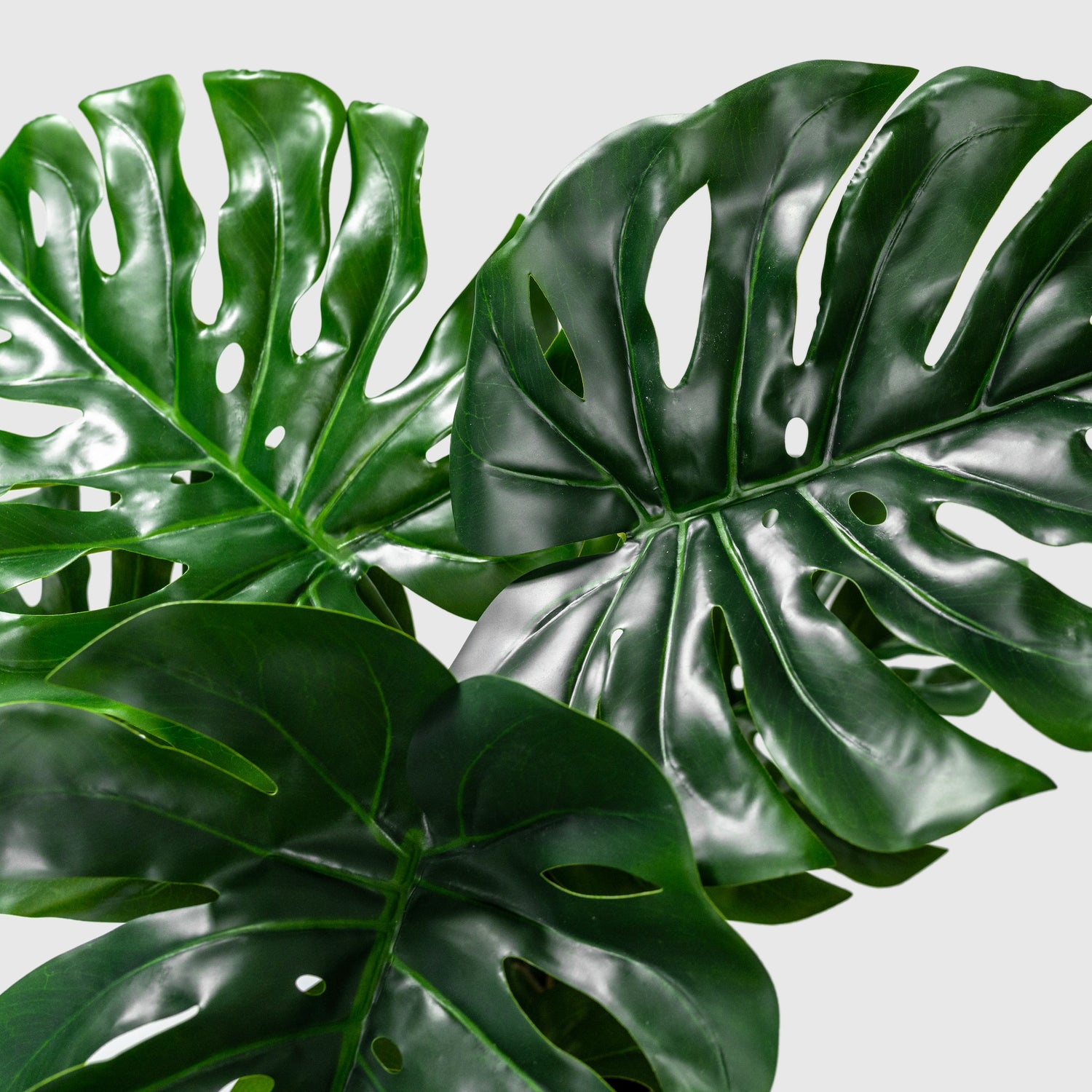 Monstera Kunstpflanze ( Pflanze )- KC 035-65 A