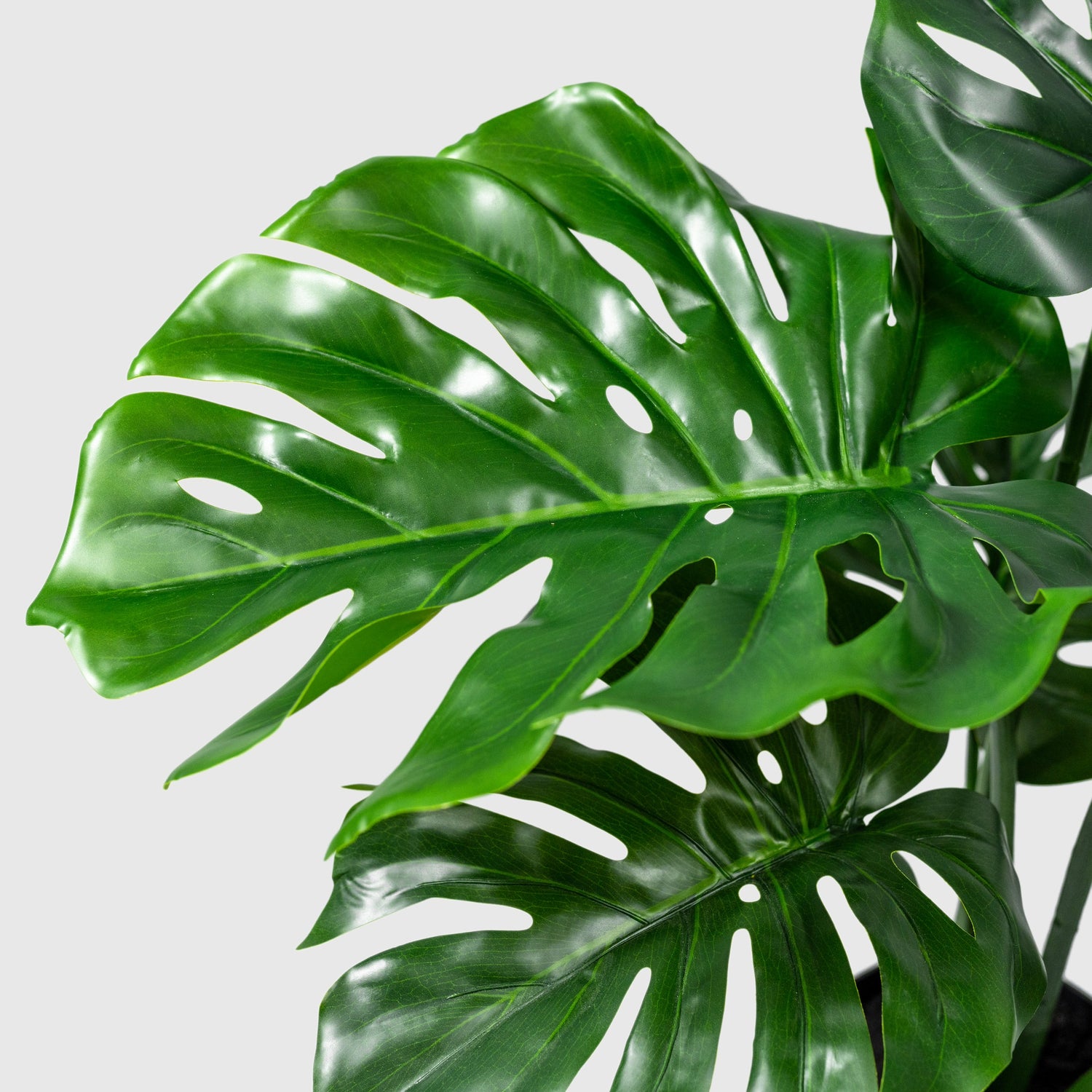 Monstera Kunstpflanze ( Pflanze )- KC 035-65 A