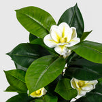 Yulan Magnolie Kunstpflanze ( Pflanze )- KM 230 029 A