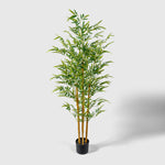 Bambusbaum Kunstpflanze ( Pflanze )- KM 230 489 Q