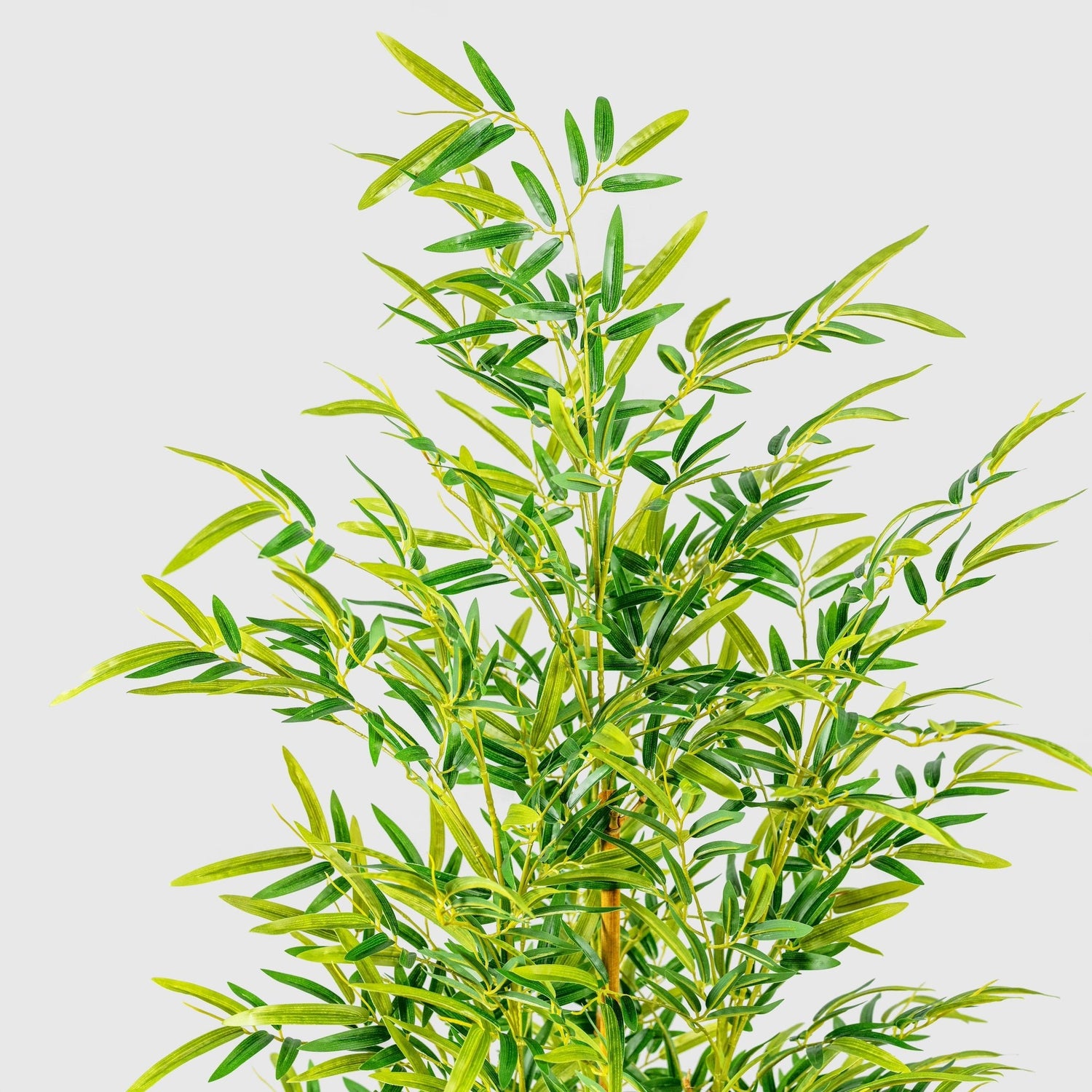 Bambusbaum Kunstpflanze ( Pflanze )- KM 230 489 Q