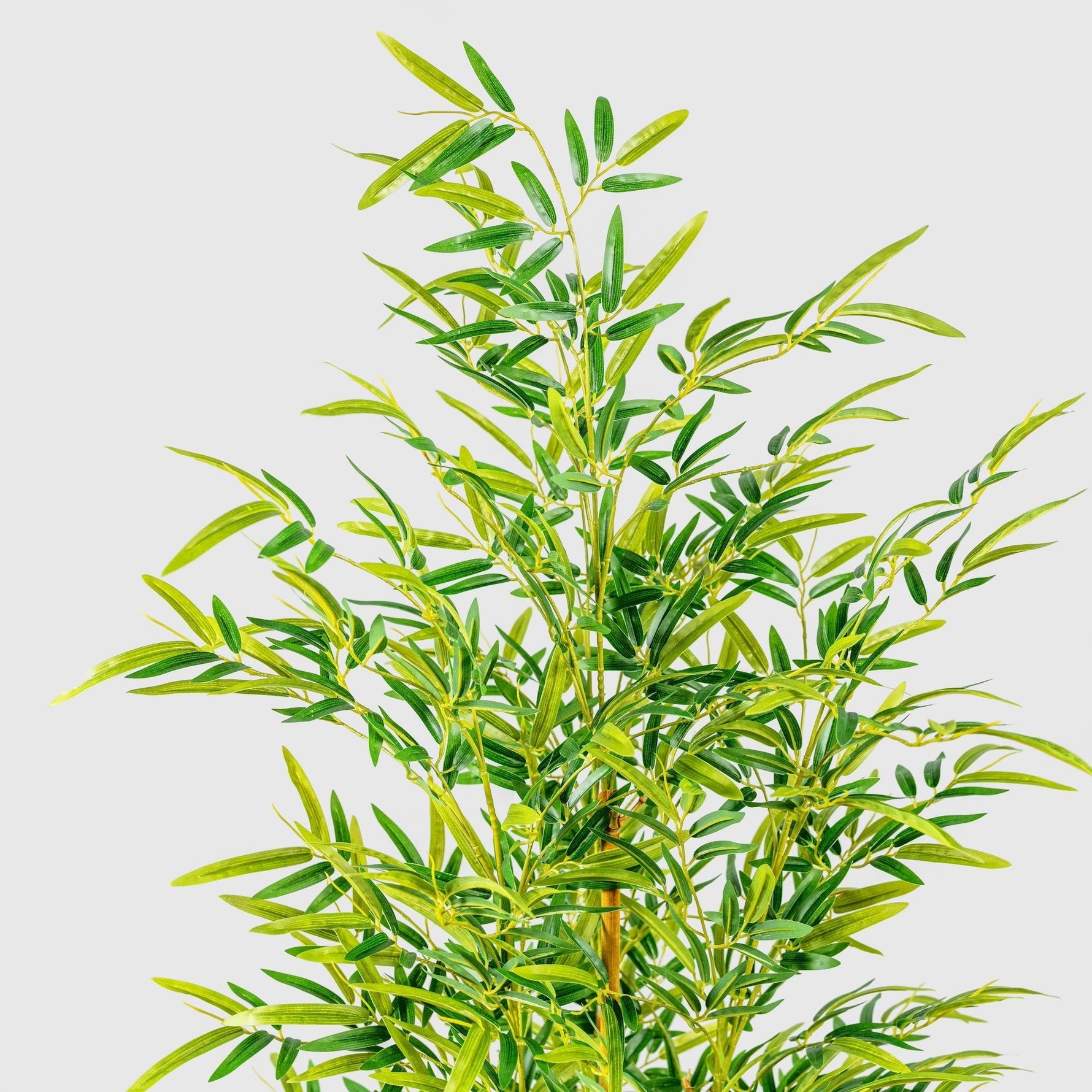 Bambusbaum Kunstpflanze ( Pflanze )- KM 230 489 Q