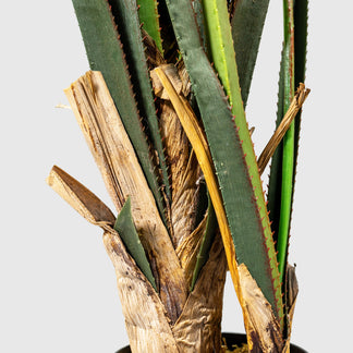 Pandané | Arbre à vis de VASANTA