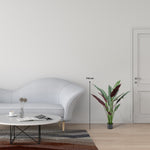 Calathea Makoyana | Korbmarante Kunstpflanze ( Pflanze )- KM 231 265 CY