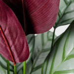 Calathea Makoyana | Korbmarante Kunstpflanze ( Pflanze )- KM 231 265 CY