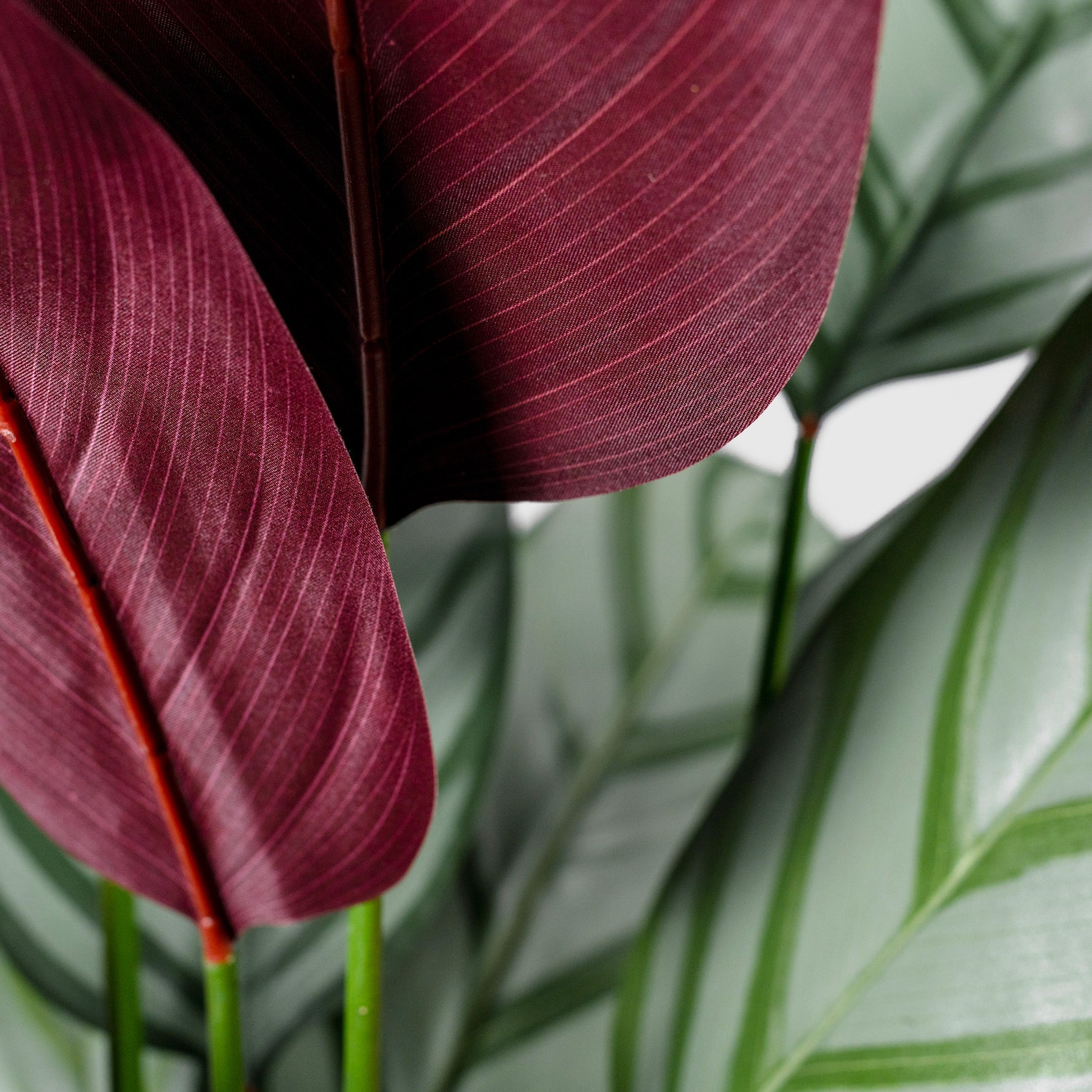Calathea Makoyana | Korbmarante Kunstpflanze ( Pflanze )- KM 231 265 CY