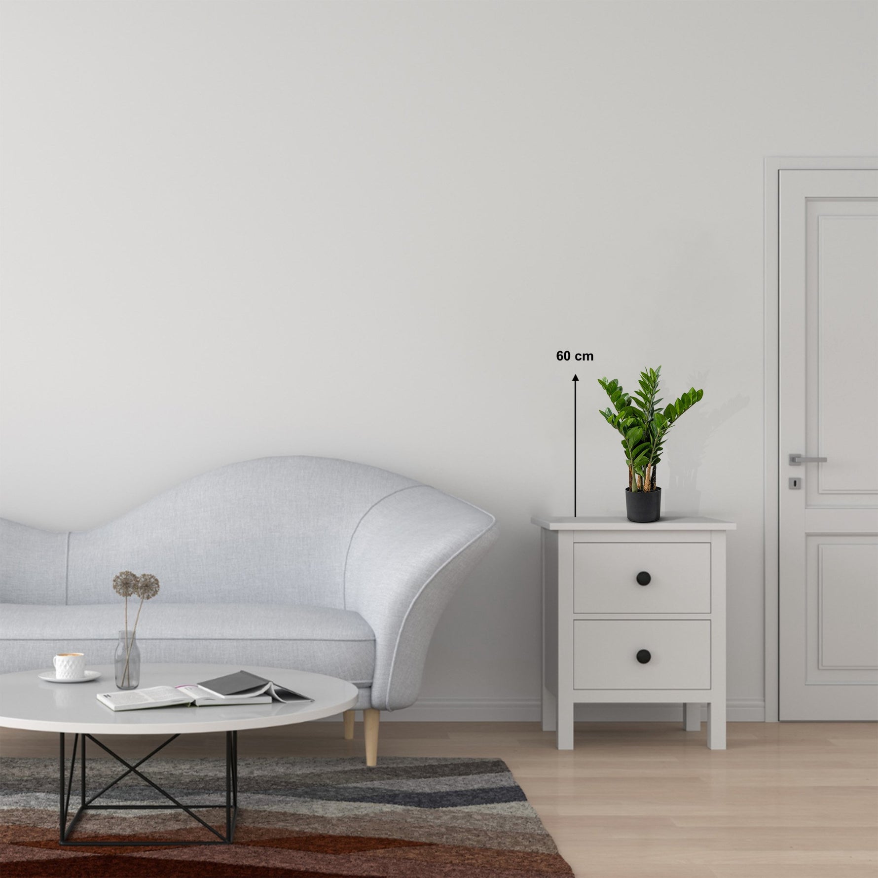 Zamioculcas | Glücksfeder Kunstpflanze ( Pflanze )- KM 231 282 C