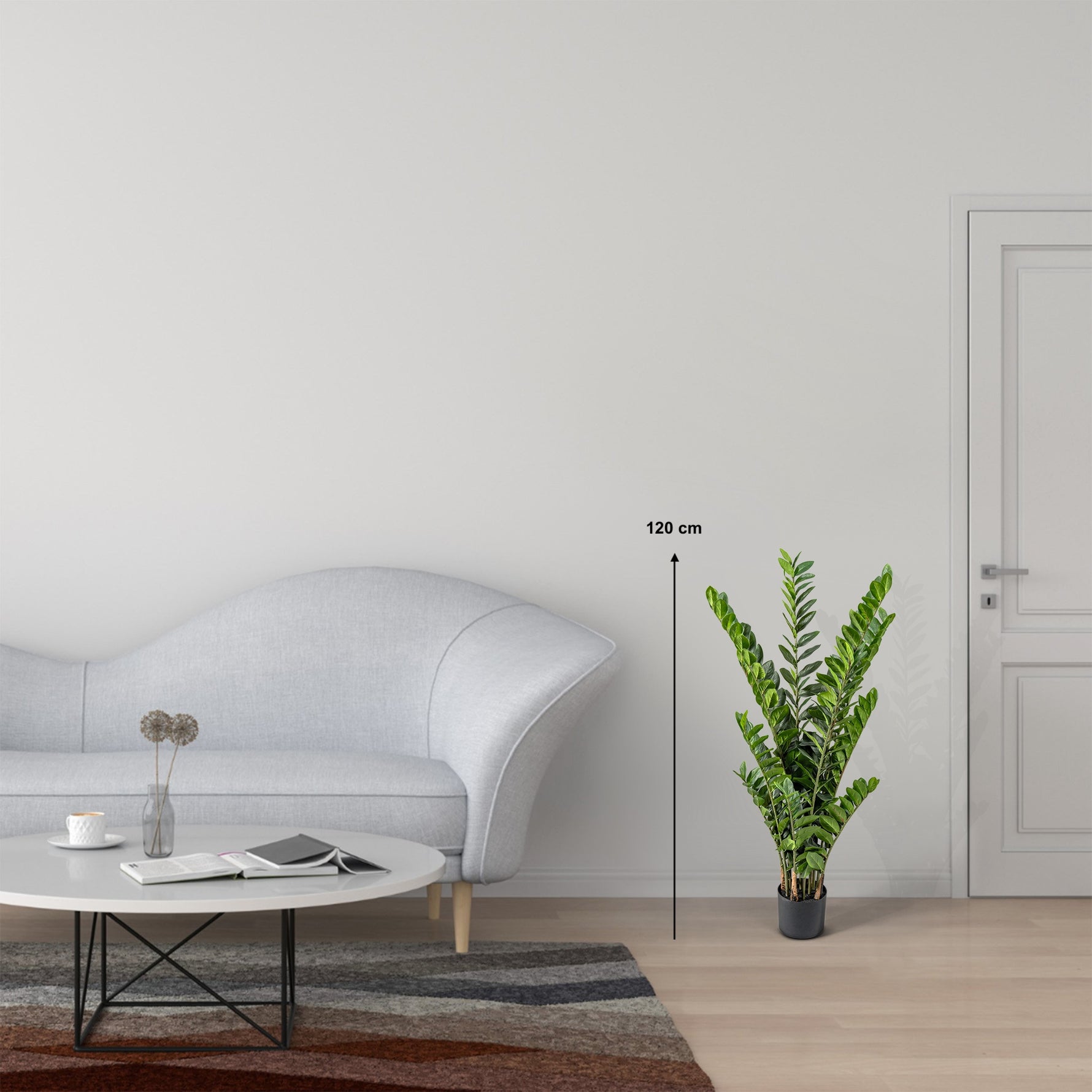 Zamioculcas | Glücksfeder Kunstpflanze ( Pflanze )- KM 231 282 C