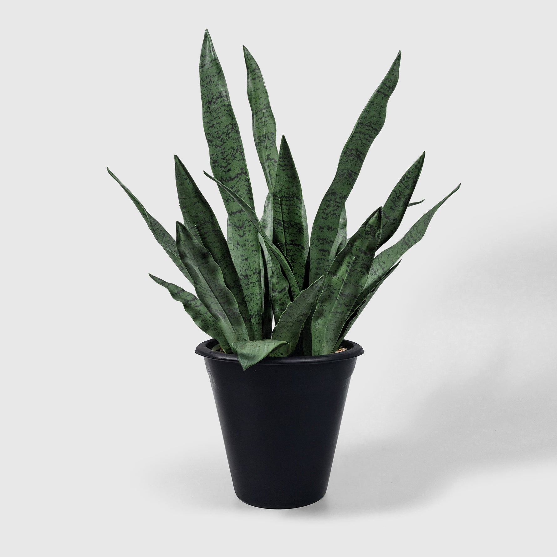 Sanservieria | Bogenhanf Kunstpflanze ( Pflanze )- OH 001 200 456