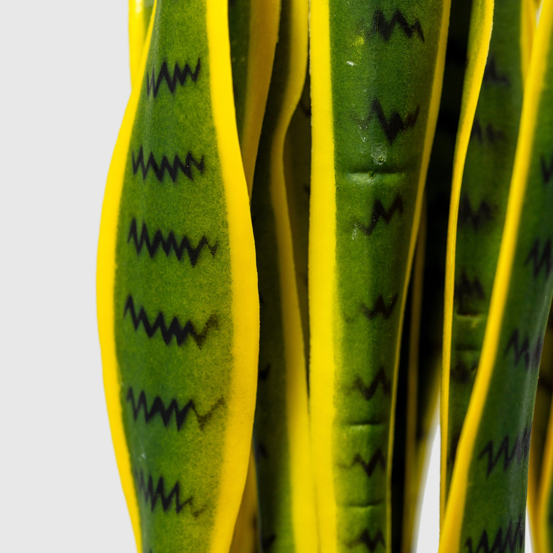Sanservieria | Bogenhanf Kunstpflanze ( Pflanze )- OH 001 200 456
