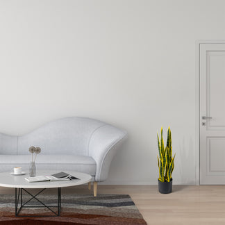Sansservieria | Chanvre arc de VASANTA