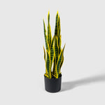 Sanservieria | Bogenhanf Kunstpflanze ( Pflanze )- OH025200304B