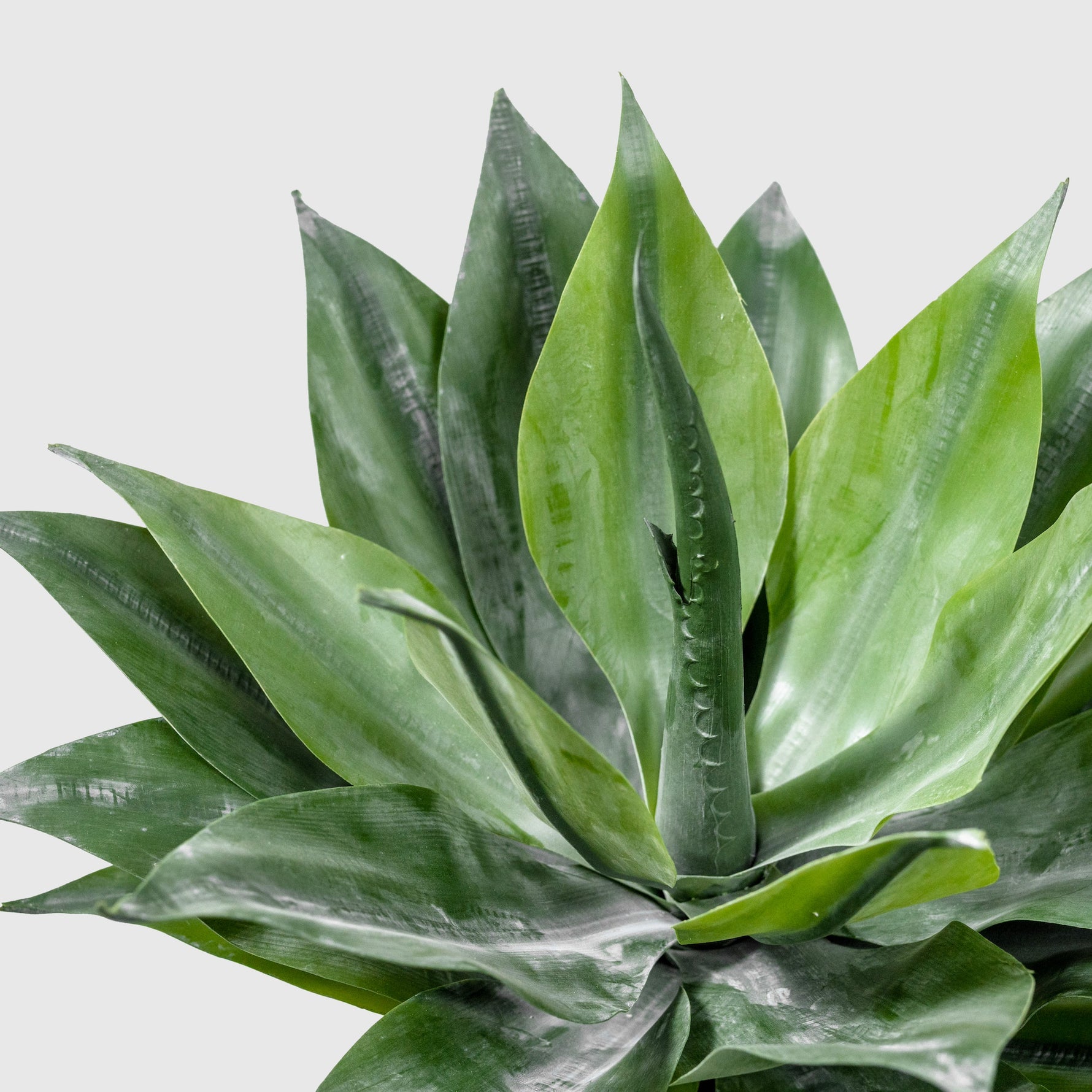 Agave Kunstpflanze ( Pflanze )- OH 189 023
