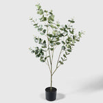 Eukalyptus Kunstpflanze ( Pflanze )- OH 193 013