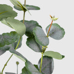 Eukalyptus Kunstpflanze ( Pflanze )- PC 243- 90 A
