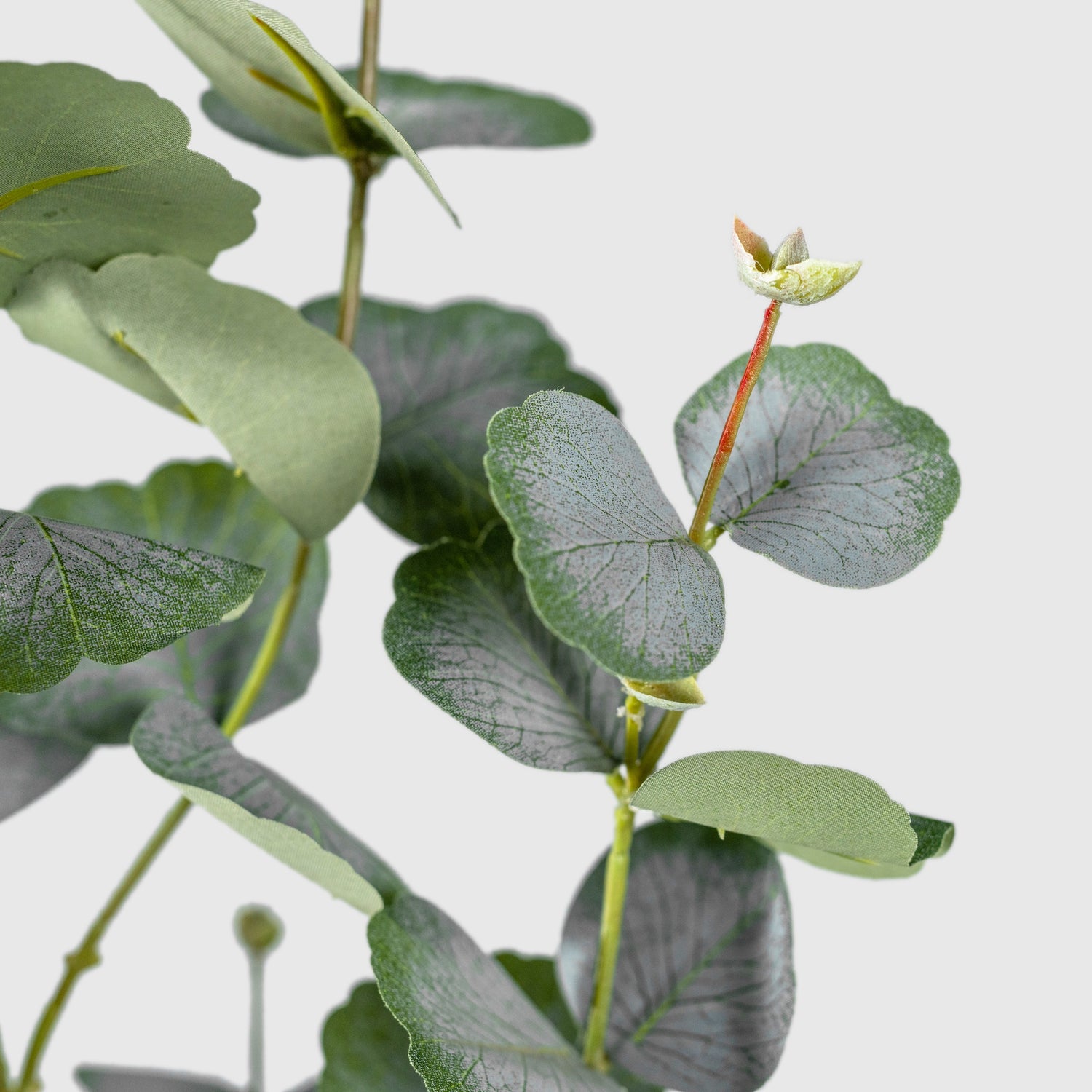 Eukalyptus Kunstpflanze ( Pflanze )- PC 243- 90 A
