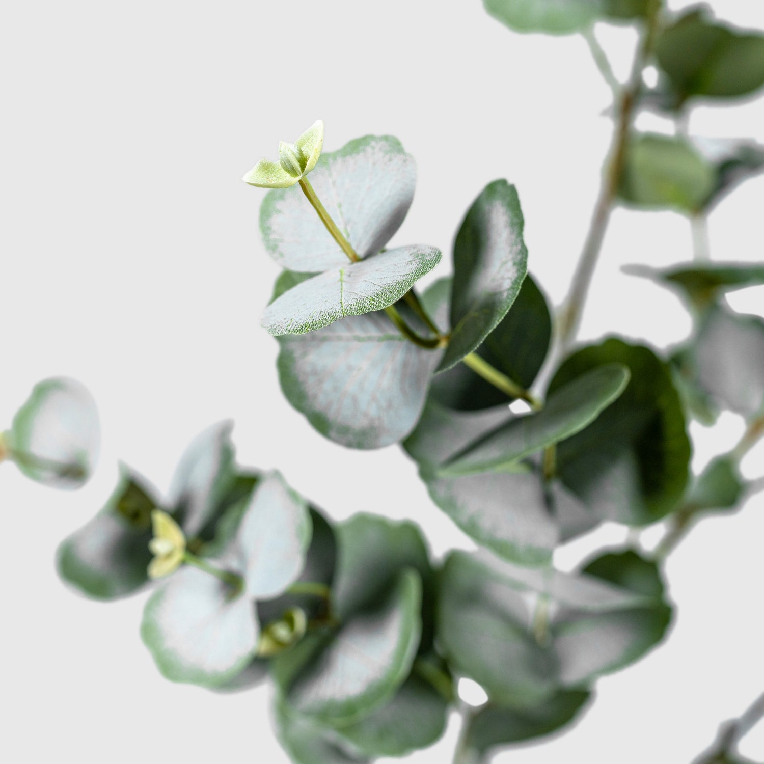 Eukalyptus Kunstpflanze ( Pflanze )- PC 243- 90 A