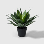 Agave Kunstpflanze ( Pflanze )- OH 189 023