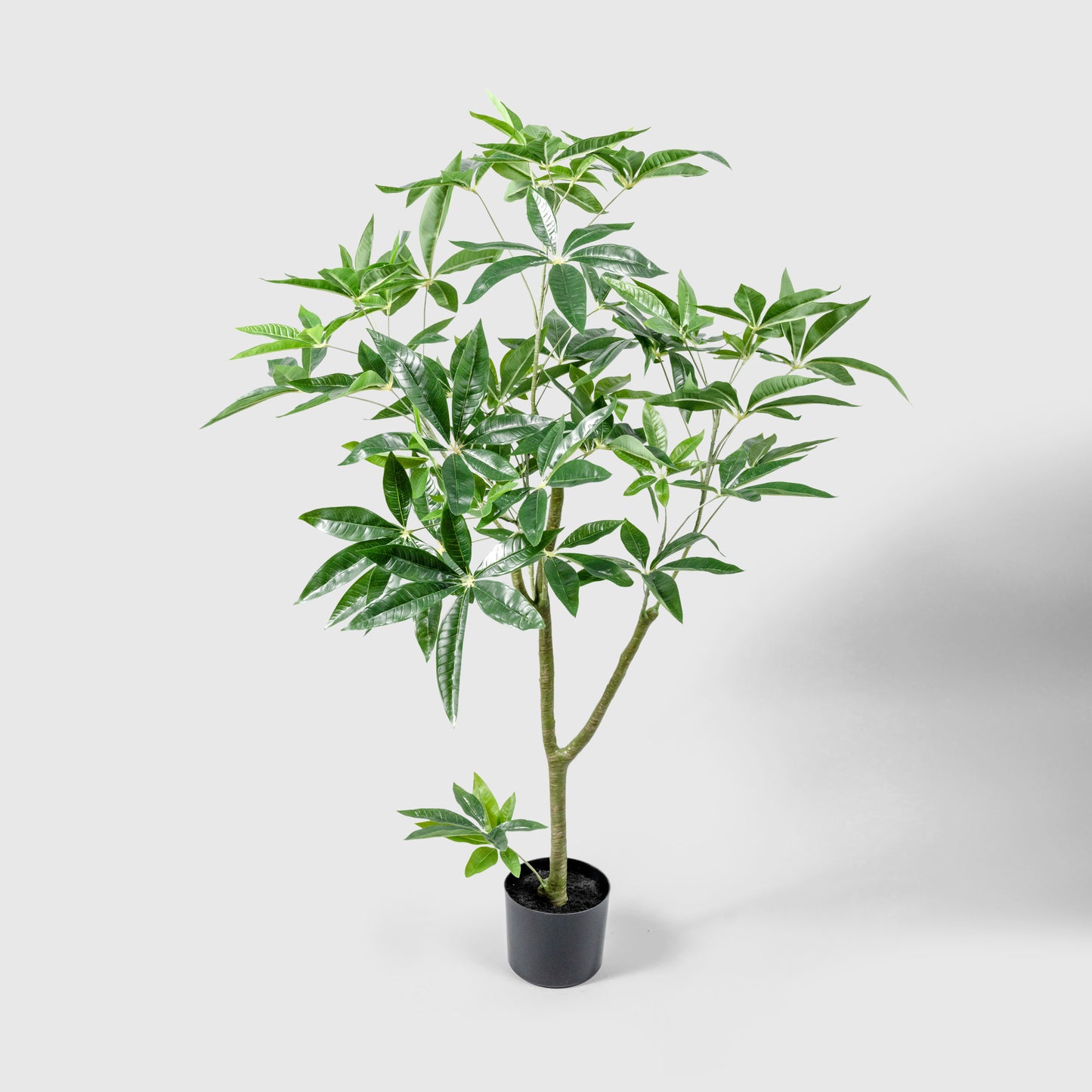 artificial money tree Artificial Money Tree – Faux Plant