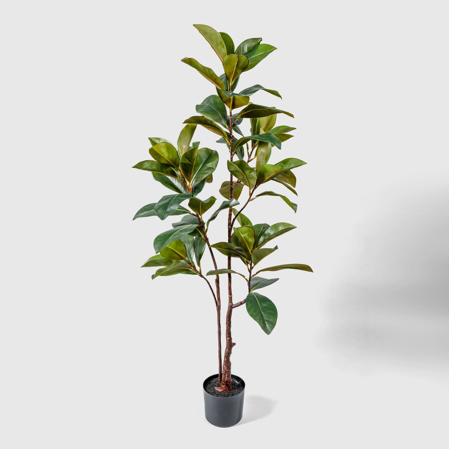 Magnolienbaum Kunstpflanze ( Pflanze )- PC 168-150 A