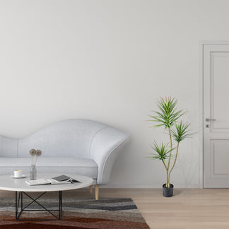 Dragonnier | Dracaena de VASANTA