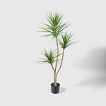 Drachenbaum | Dracaena Kunstpflanze ( Pflanze )- PC 205-150 A
