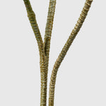 Drachenbaum | Dracaena Kunstpflanze ( Pflanze )- PC 205-150 A