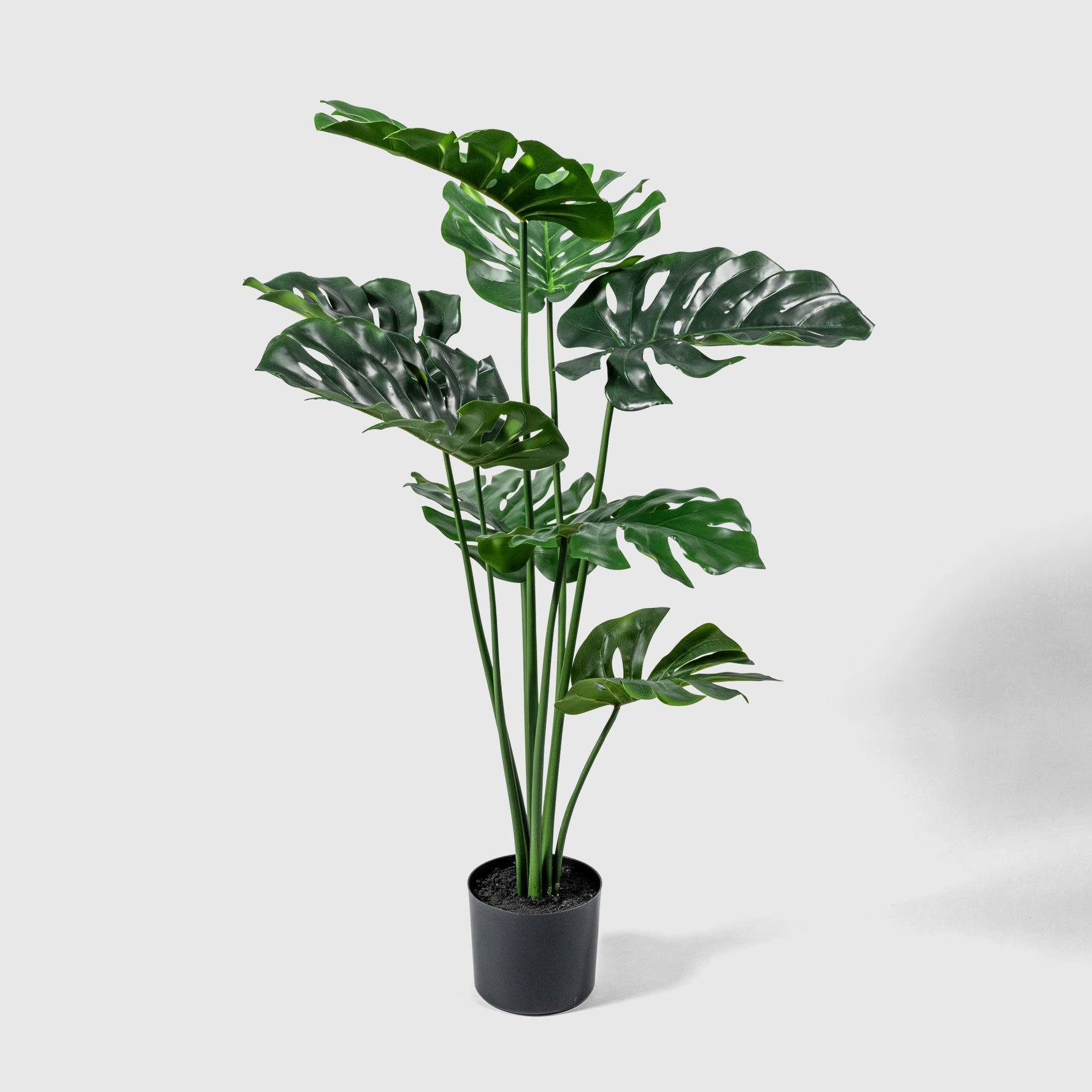 Monstera Kunstpflanze ( Pflanze )- YCP 003-105 A